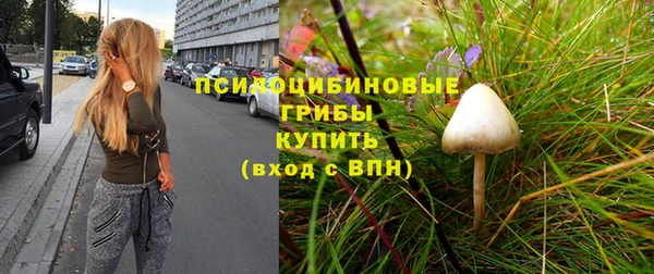 амф Липки