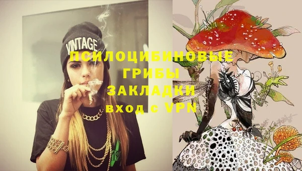 дурь Лиски
