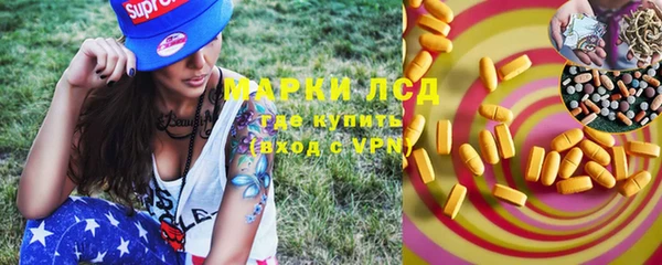 шишки Ростов